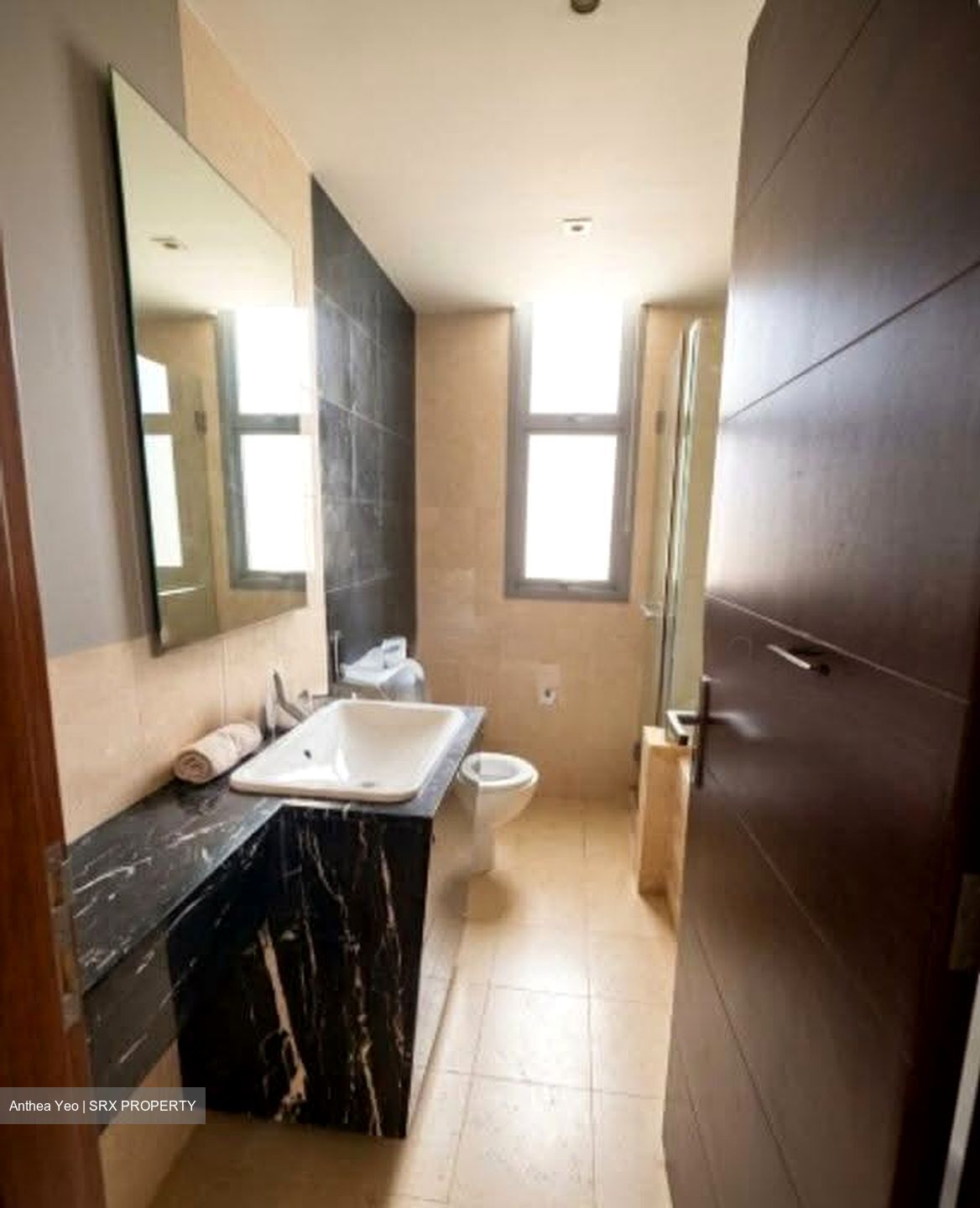 Residences @ Evelyn (D11), Condominium #628636761